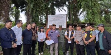 Kebun Bah Birong Ulu PTPN IV Regional II Berhasil Panen Perdana di Lahan Eks Kawasan Hutan