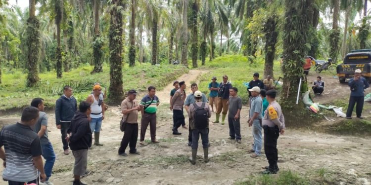 Polres Simalungun Amankan Okupasi Lahan PT Sawit Indah Abadi di Buntu Bayu