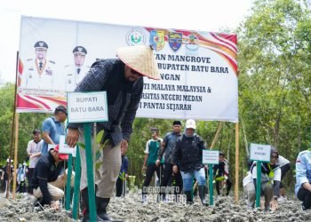 Bupati Batu Bara Perkenalkan Potensi Hutan Mangrove pada Mahasiswa/i Asal Universiti Malaya Malaysia