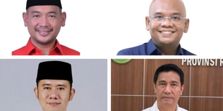 8 Orang Anggota DPRD Sumut Tolak Konversi Perkebunan Teh di Sidamanik 