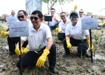 INALUM Perkuat Strategi Dekarbonisasi Melalui Restorasi Mangrove Bersama