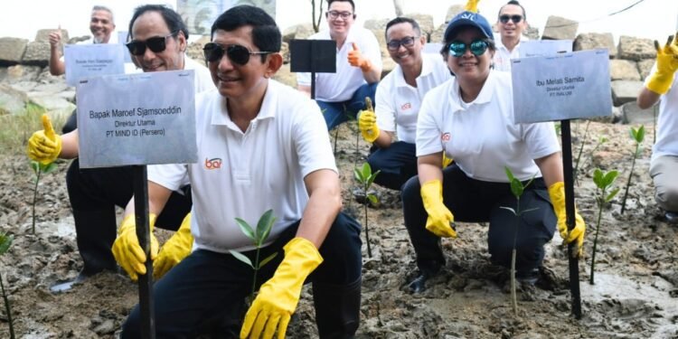 INALUM Perkuat Strategi Dekarbonisasi Melalui Restorasi Mangrove Bersama