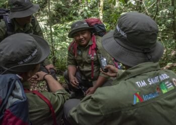 INALUM Dukung Patroli Hutan dan Edukasi Konservasi di Taman Nasional Gunung Leuser