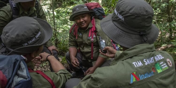 INALUM Dukung Patroli Hutan dan Edukasi Konservasi di Taman Nasional Gunung Leuser