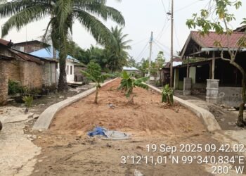 Turap Timbun di Lingkungan Kelurahan Labuhan Ruku Tuai Protes, Warga Tanam Pohon Pisang