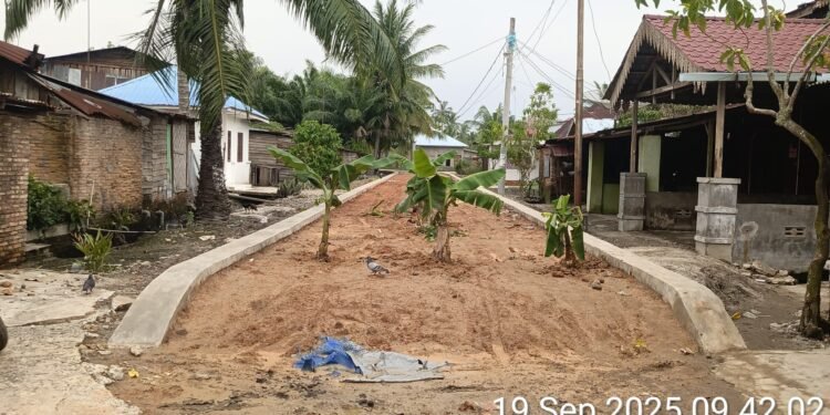 Turap Timbun di Lingkungan Kelurahan Labuhan Ruku Tuai Protes, Warga Tanam Pohon Pisang