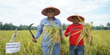 INALUM Dukung Pertanian Berkelanjutan Lewat Penerapan Metode Tani Nusantara di Kuala Tanjung