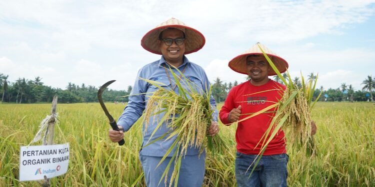 INALUM Dukung Pertanian Berkelanjutan Lewat Penerapan Metode Tani Nusantara di Kuala Tanjung