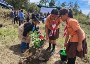 PT. INALUM Tegaskan Komitmen Pelestarian Lingkungan, Tanam Pohon 500 Hektar di DTA