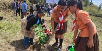 PT. INALUM Tegaskan Komitmen Pelestarian Lingkungan, Tanam Pohon 500 Hektar di DTA
