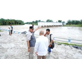 Bupati Batu Bara bersama DPRD Provsu Tinjau Bendung Sungai Dalu-Dalu