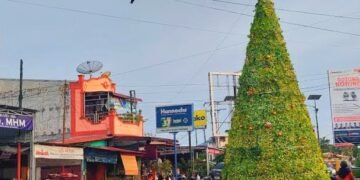 Cerita Pohon Natal Raksasa Gunungsitoli Tinggal Kenangan Bagi Umat Nasrani