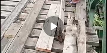 Jembatan Bukibatabuah 2 Tahun Diabaikan Jalur Lintas Padang Riau, Bupati Agam Diduga Tutup Mata