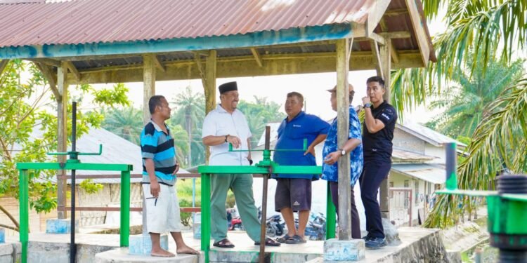 Komitmen Jaga Infrastruktur, Bupati Batu Bara Tinjau Jembatan dan Pintu Air di Desa Air Hitam