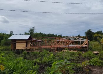 Bakal Panas! KCBI Laporkan Pengerusakan Mangrove di Desa Teluk Belukar