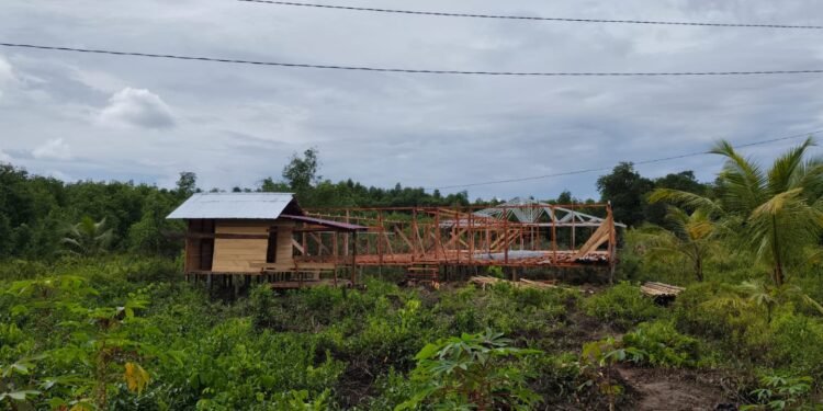 Bakal Panas! KCBI Laporkan Pengerusakan Mangrove di Desa Teluk Belukar