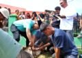 Hari Raya Idul Adha 1447 H di Kabupaten Simalungun: Suasana Syahdu, Bupati Sembelih Langsung Hewan Qurban