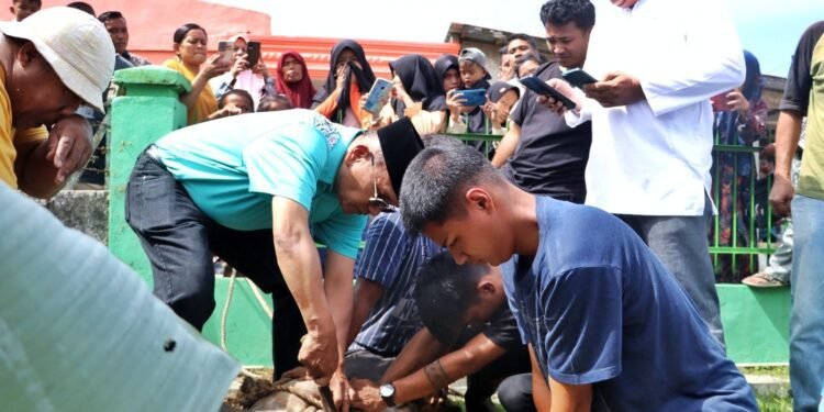 Hari Raya Idul Adha 1447 H di Kabupaten Simalungun: Suasana Syahdu, Bupati Sembelih Langsung Hewan Qurban