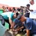 Hari Raya Idul Adha 1447 H di Kabupaten Simalungun: Suasana Syahdu, Bupati Sembelih Langsung Hewan Qurban