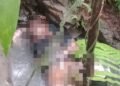 Pamit Berangkat Sekolah, Siswi SMK di Nias Utara Ditemukan Tewas