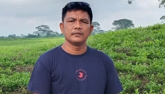 Kepala Desa Benarkan Adanya Pengerusakan “Mangrove” di Teluk Belukar