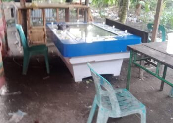 Antara Klaim Polisi dan Fakta Lapangan: Judi di Silou Kahean Disebut Masih Beroperasi