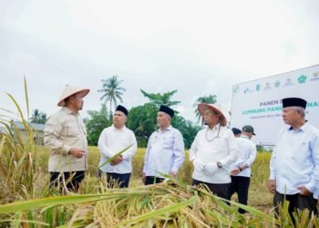 Panen Raya BAZNAS Perkuat Ketahanan Pangan, Bupati Batu Bara Optimistis Daerah Surplus Beras