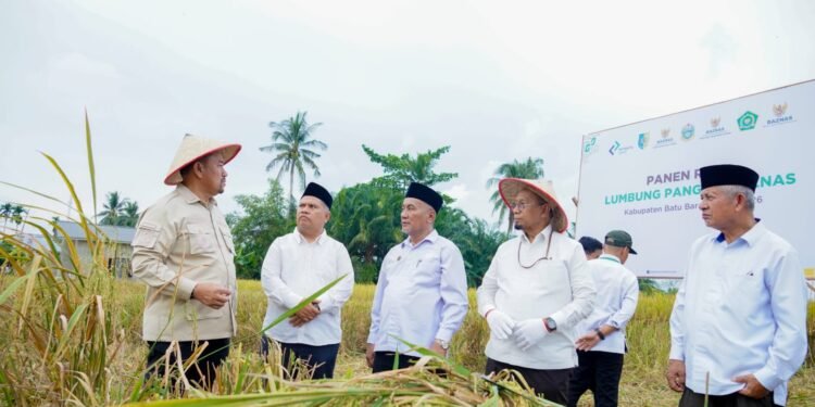 Panen Raya BAZNAS Perkuat Ketahanan Pangan, Bupati Batu Bara Optimistis Daerah Surplus Beras