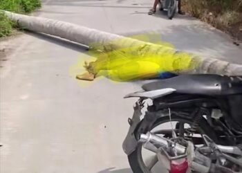 Tragis! Pemuda 18 Tahun Tewas Tertimpa Pohon Kelapa Tumbang Saat Melintas di Batu Bara