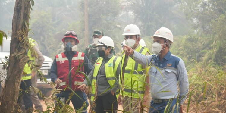 INALUM Perkuat Penanganan Karhutla di Mempawah – Kalimantan Barat, 60 Relawan Grup MIND ID Diterjunkan ke Sekitar Wilayah Operasional BAI