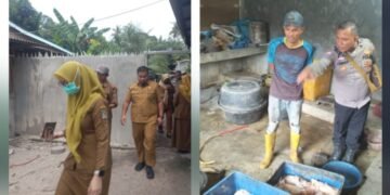 Aktifitas Pemotongan dan Kandang Bebek milik D Simbolon Resahkan Warga Asahan